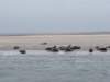 HWK Texel 112_small.jpg